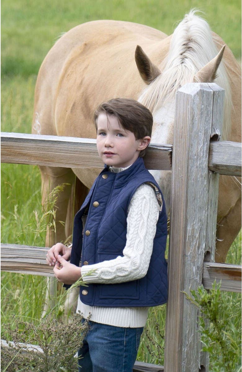 Hope & Henry Boys' Quilted Field Vest, Kids, Alternate, color, 