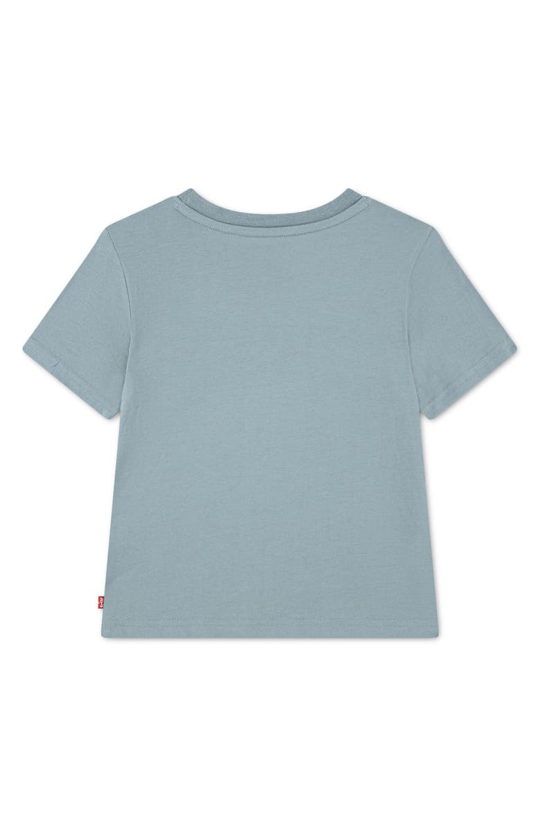 Levi's Kids' Parading Hot Dog T-Shirt, Alternate, color, Lead
