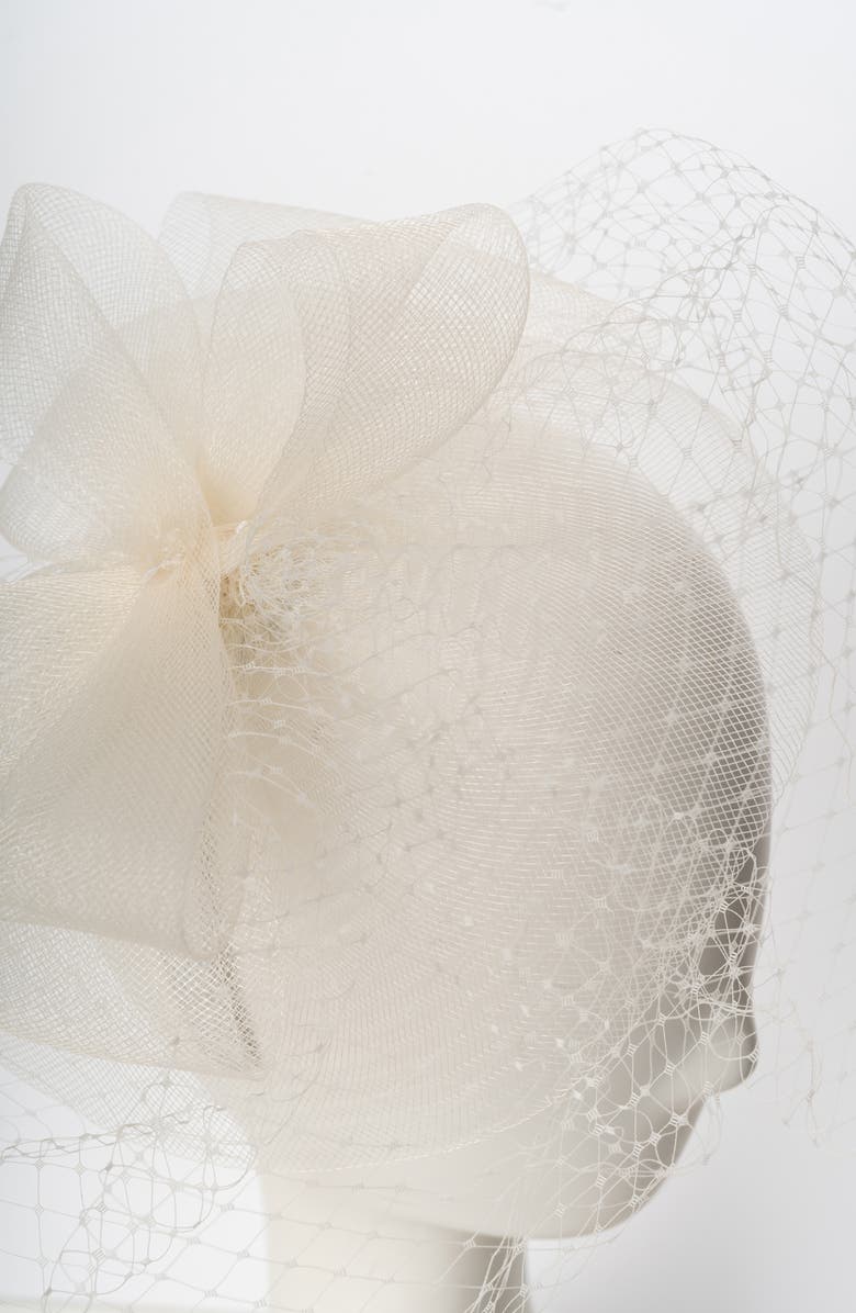 Collection XIIX Net Fascinator, Alternate, color,