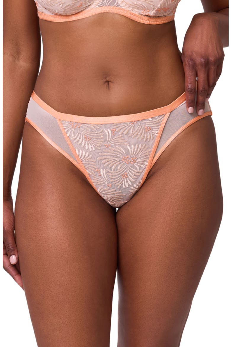 Tangerine Dream Embroidered Sheer Mesh Bikini Briefs, Main, color, CHAMPAGNE/ TANGERINE