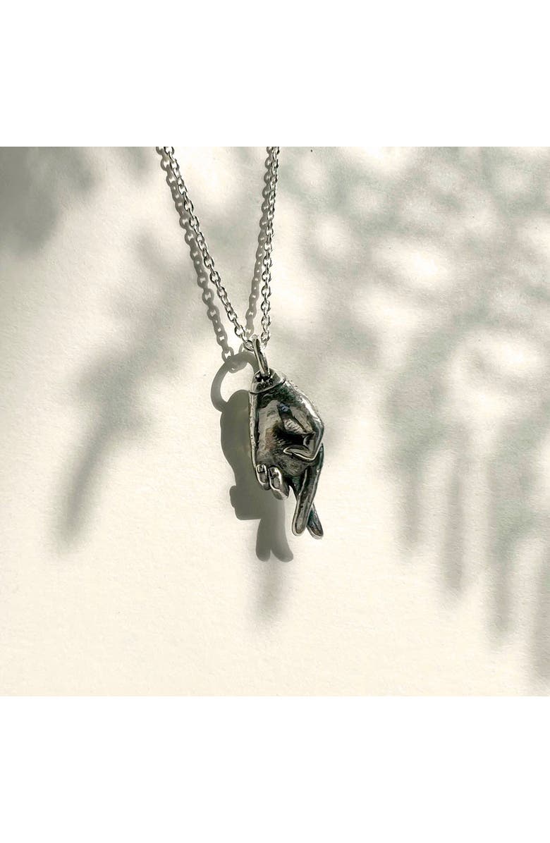 Astor & Orion Good Luck Charm Necklace, Alternate, color, Silver