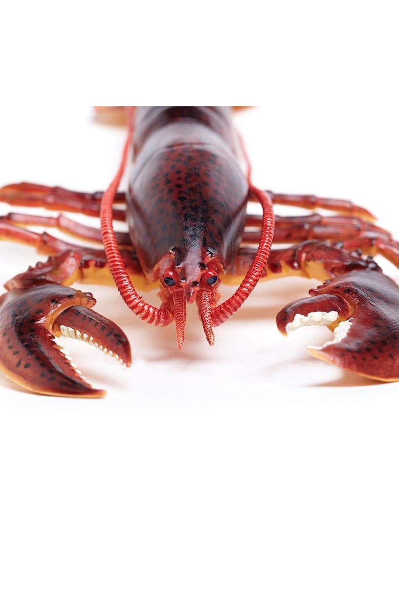 Safari Ltd. Maine Lobster Toy, Alternate, color, NO COLOR
