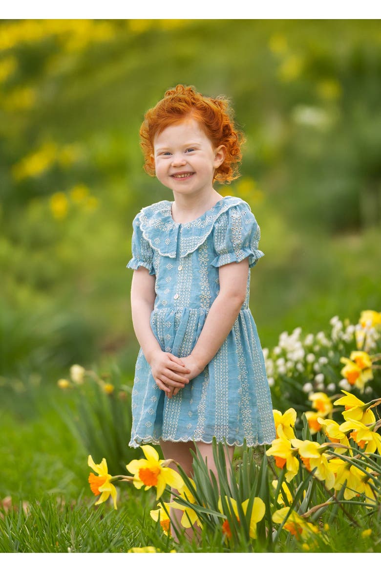 Delicate Blue Short Sleeve Dress, Alternate, color, Blue