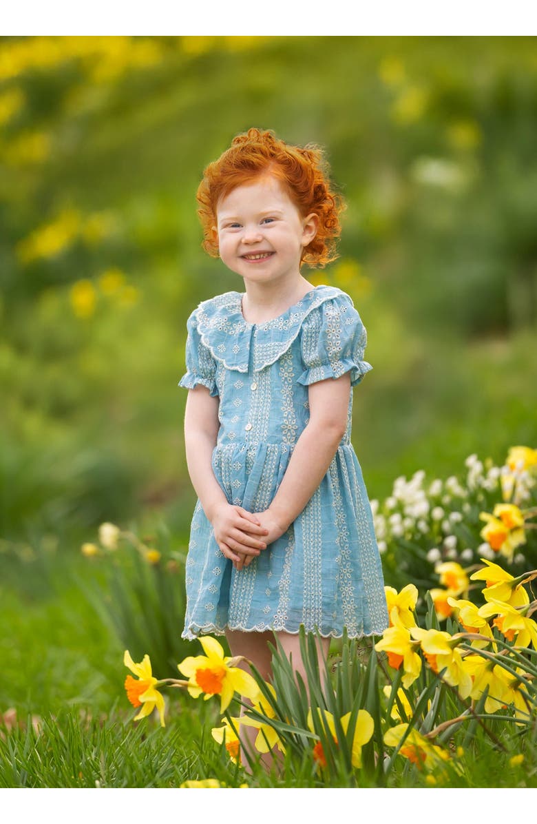 Mabel + Honey Delicate Blue Short Sleeve Dress, Alternate, color, Blue