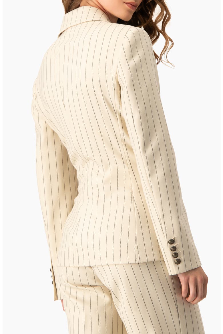 Pinstripe Double-Breasted Blazer, Alternate, color, Beige