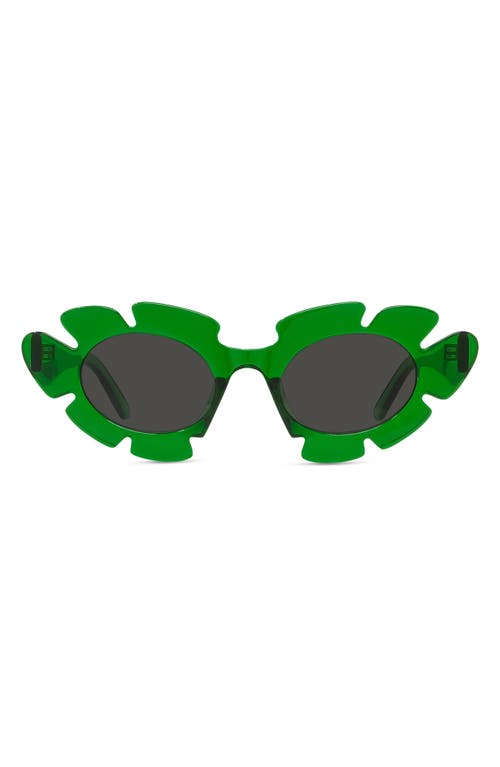 Loewe X Paula's Ibiza 47mm Cat Eye Sunglasses In Multi