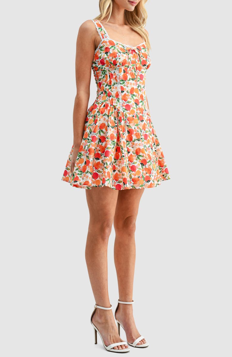 All in Favor Tangerine Print Lace Detail Fit & Flare Cotton Minidress, Alternate, color, Tangerine