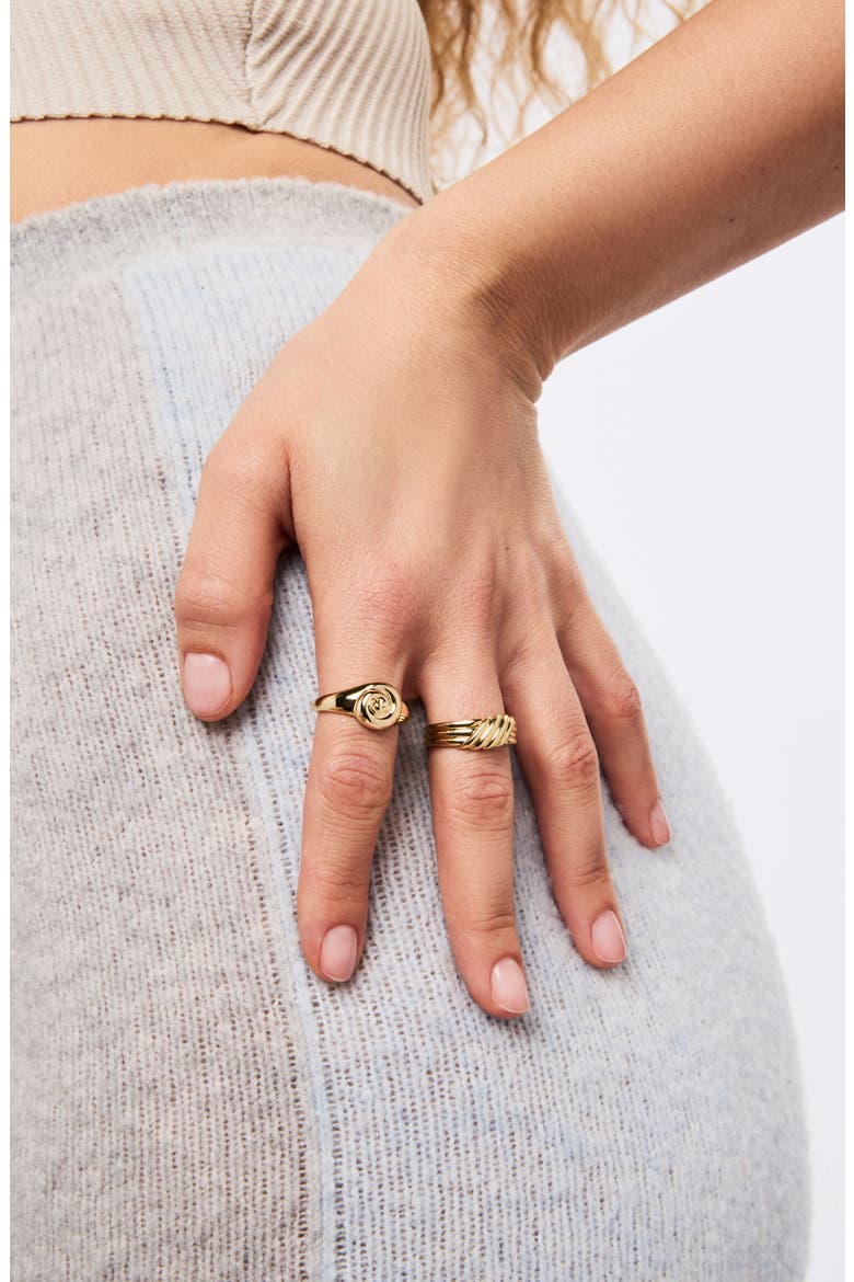 Gold Signet RIng - Ariel Ring, Alternate, color, Gold
