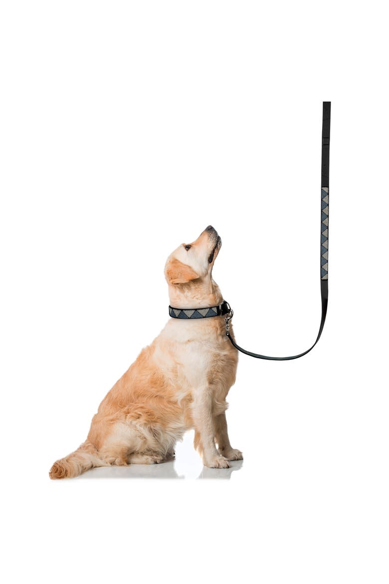 Beaded Leather Pet Leash, Alternate, color, SILVER CELESTIAL