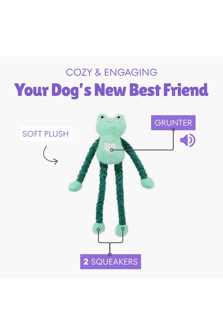 Fiona Frog, 24 Inch Dog Toy, Alternate, color, Multicolored