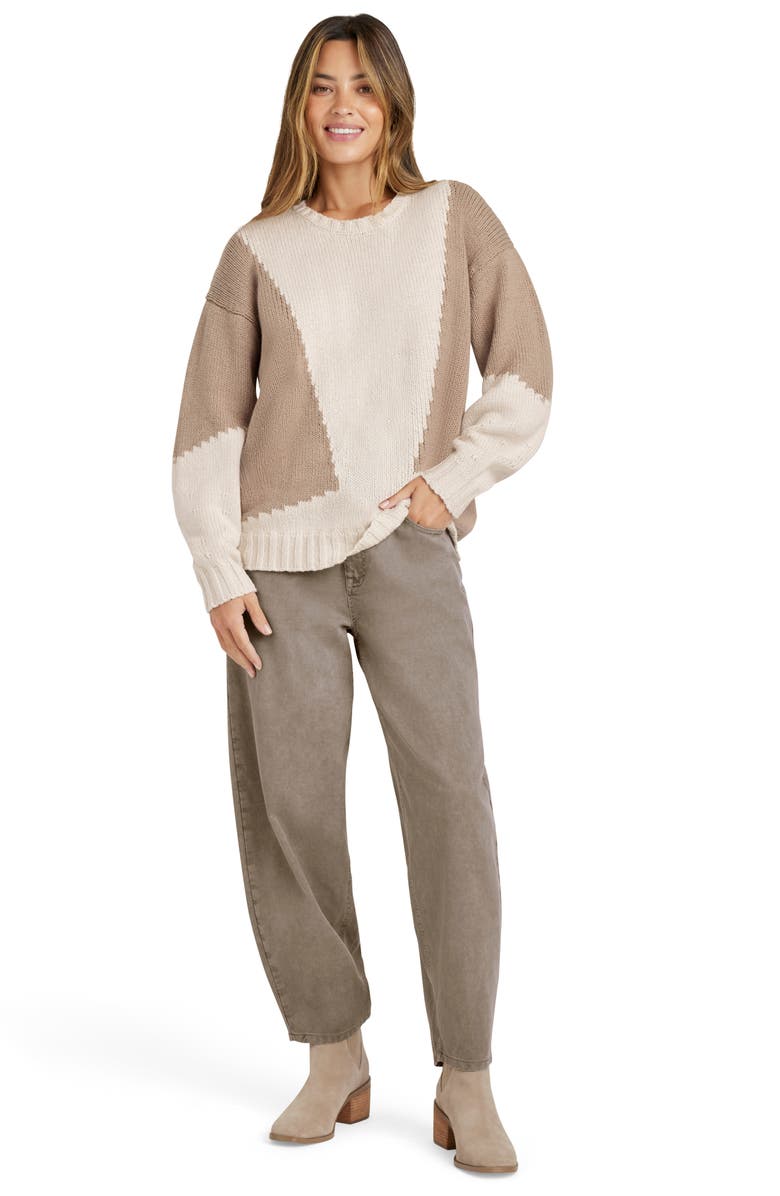 Splendid Camden Colorblock Cotton Crewneck Sweater, Alternate, color,