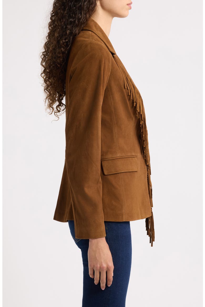 Adeline Suede Leather Fringe Jacket, Alternate, color, DARK SABLE