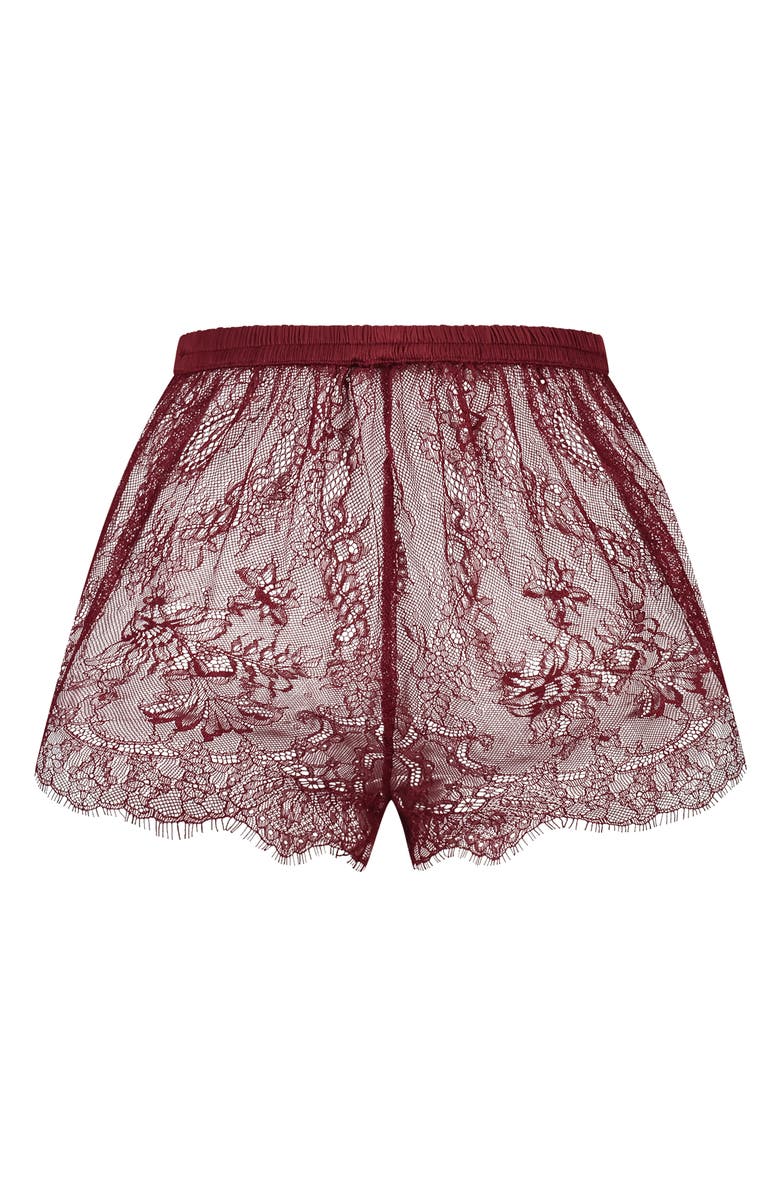 Hunkemöller Delphine French Lace Knicker Briefs, Alternate, color, 