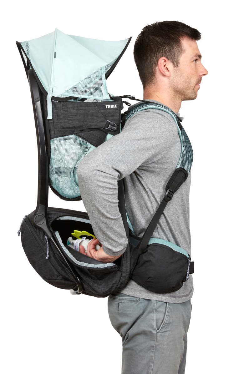 Thule Sapling Child Carrier, Alternate, color, Black