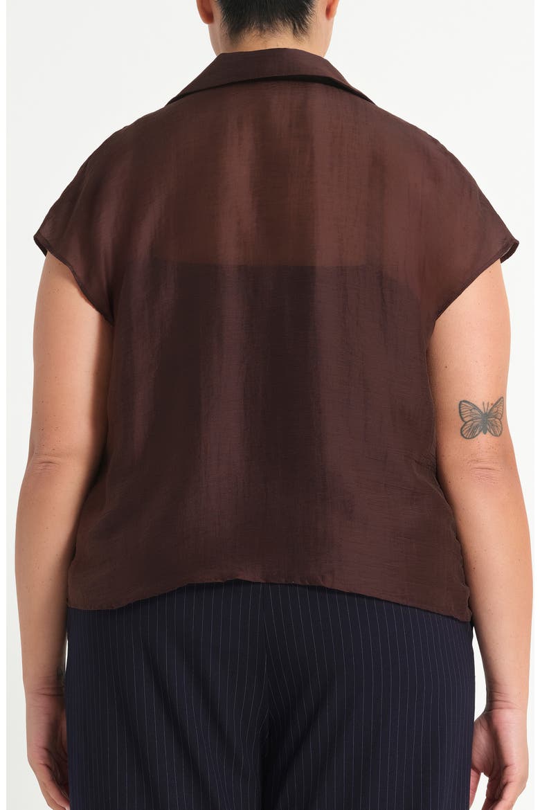 Kelly Sheer Top, Alternate, color, CHOCOLATE
