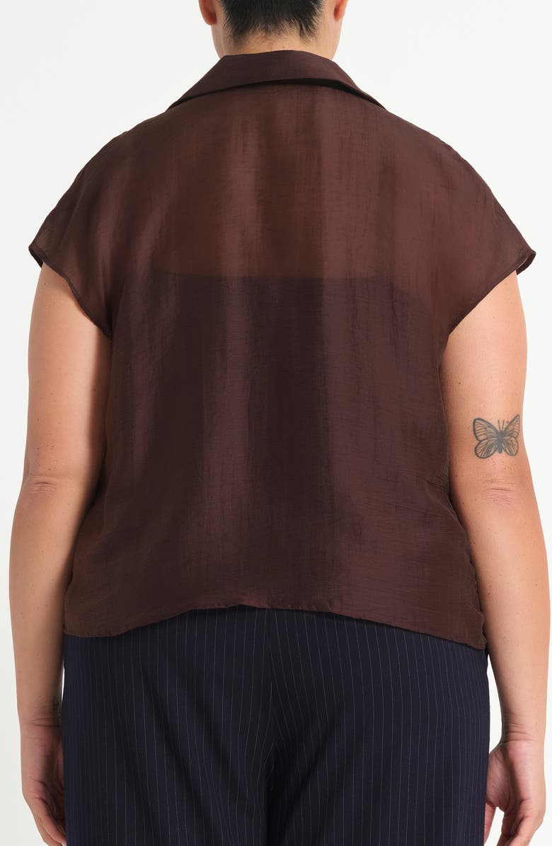 Estelle Kelly Sheer Top, Alternate, color, Chocolate