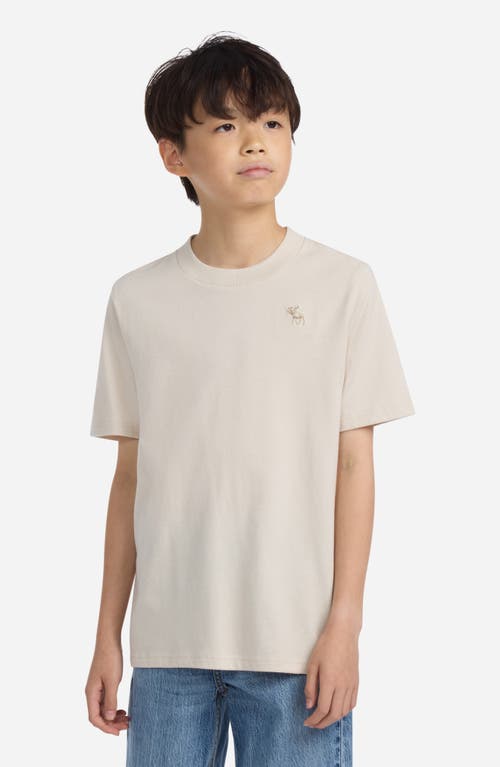 Abercrombie Kids Kids' Essential Cotton Blend T-shirt In Gray