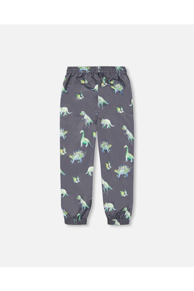 Little Boy's Two Piece Hooded Coat And Pant Mid-Season Set Grey Printed Dinosaurs, Alternate, color, Grey Printed Dinosaurs