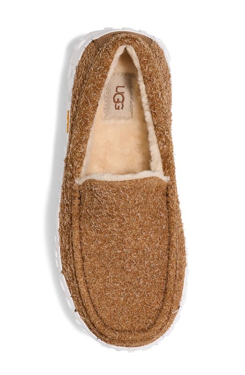 Shop Ugg(r) Ascot Wrap Tech Slipper In Chestnut