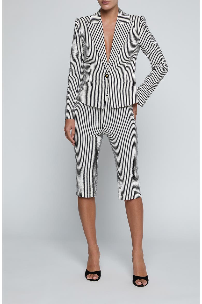 Misa Stripe Blazer, Alternate, color, IVORY/ MIDNIGHT STRIPE