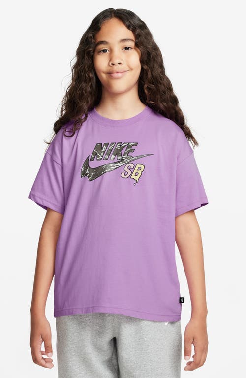 NIKE NIKE KIDS' SB GRAPHIC T-SHIRT