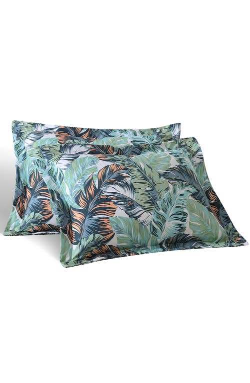 Beatrice Home Fashions Caribbean Joe Comforter & Shams Set