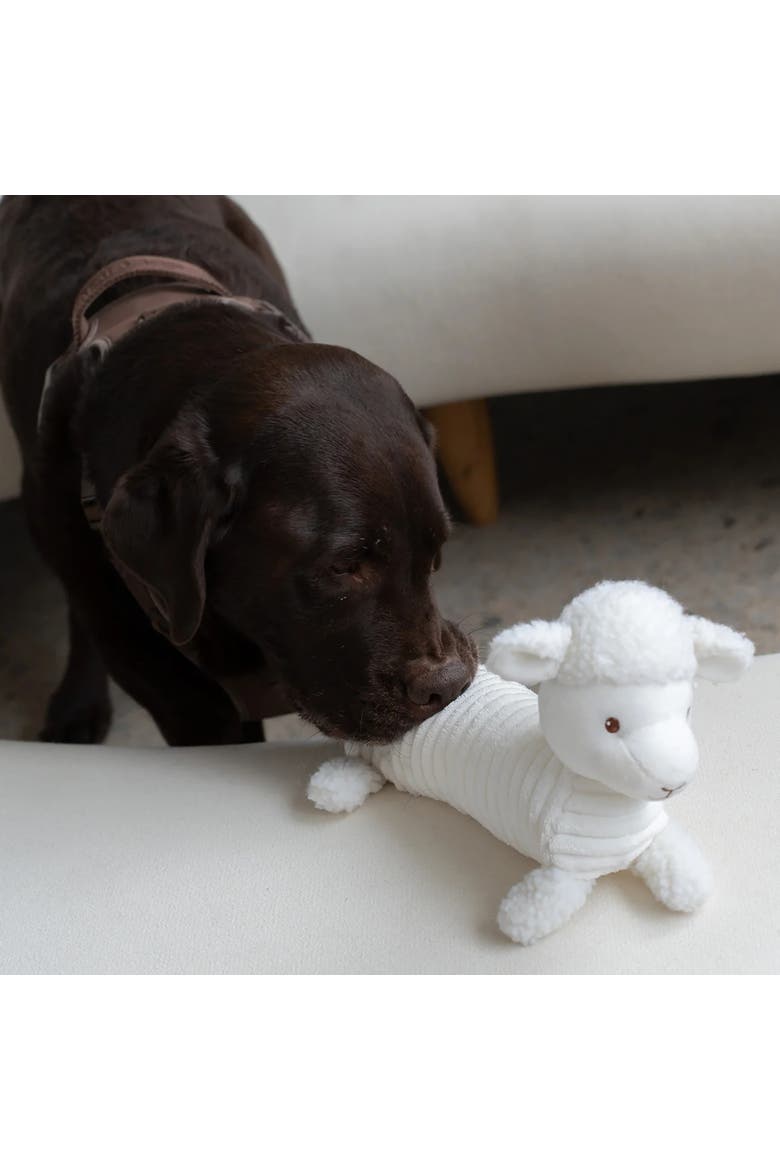 Plushie Sheep Squeak & Crinkle Dog Toy, Alternate, color, White
