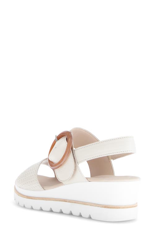Gabor Strappy Slingback Wedge Sandal In Panna