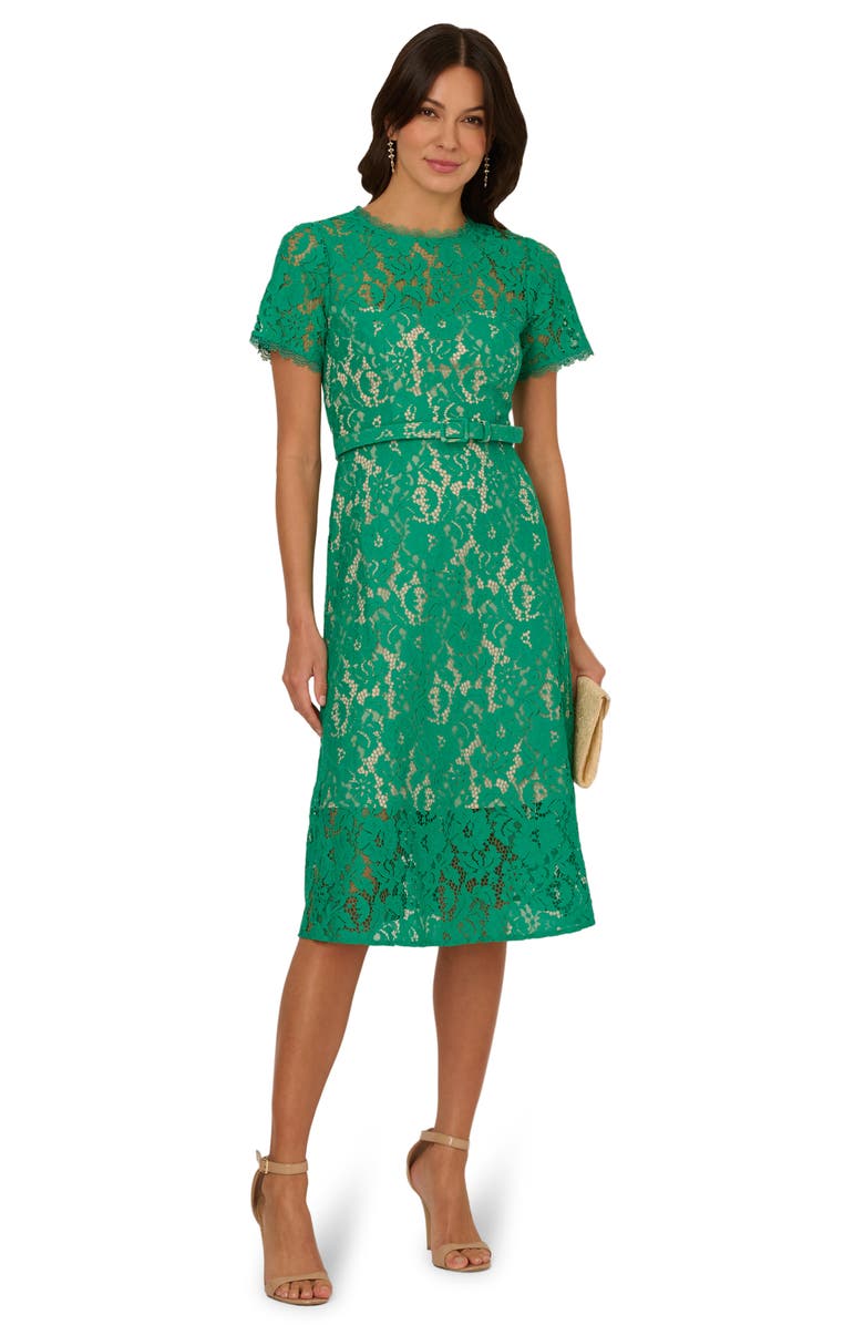 Adrianna Papell Short Sleeve Belted Lace Midi Dress, Alternate, color, 