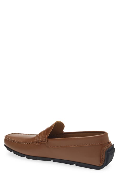 Bruno Magli Pelican Penny Loafer In Brown