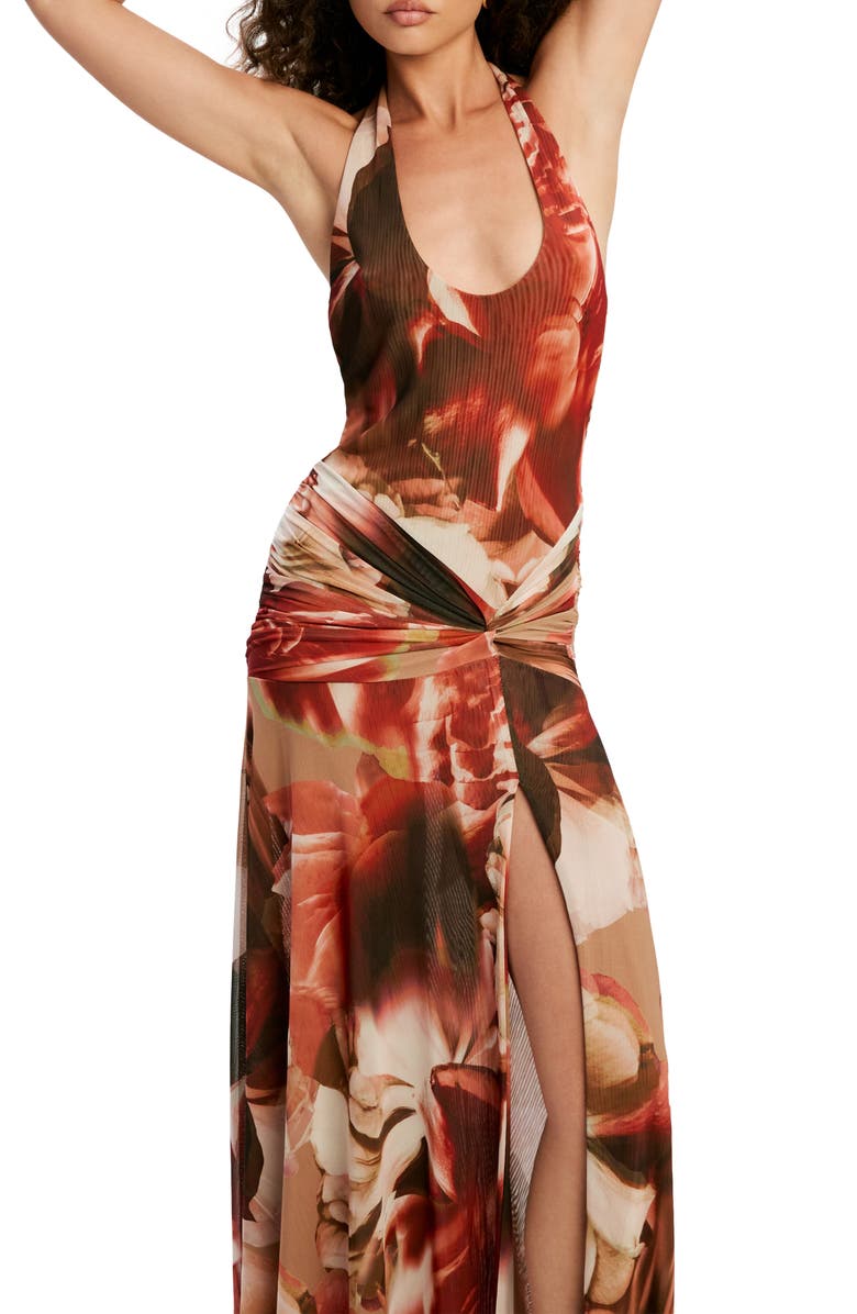 Bardot Sariba Halter Neck Mesh Maxi Dress, Alternate, color, Burnt Orange Floral