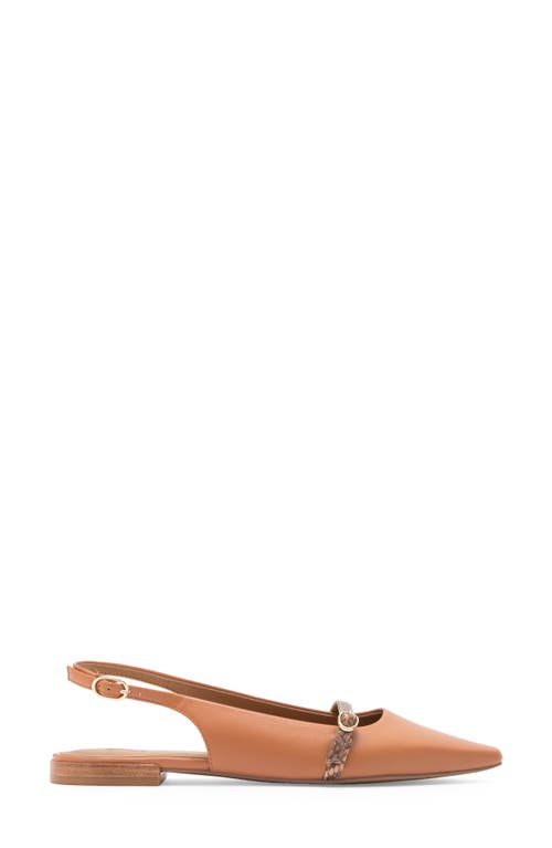 Nordstrom Rack Lauri Slingback Flat