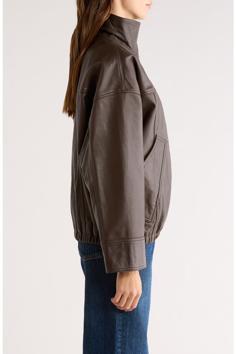 Reinvented Leather Jacket, Alternate, color, EARTH