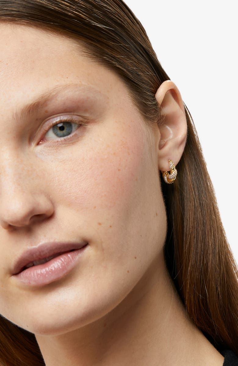 Ana Luisa Twisted Hoop Earrings - Paris Small Pave, Alternate, color, 