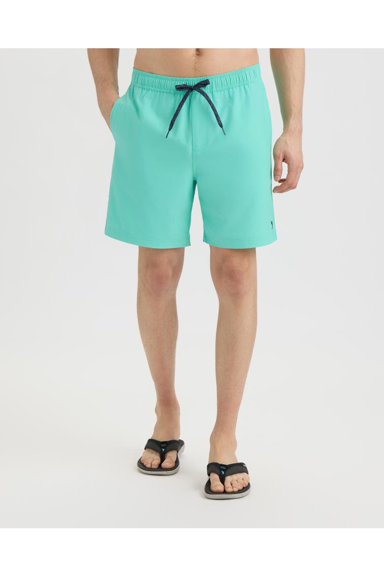 Weekender Vapor Stretch Aquatrunk, Main, color, Glass