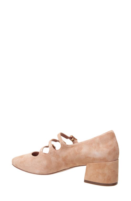 Linea Paolo Mariana Mary Jane Pump In Brown