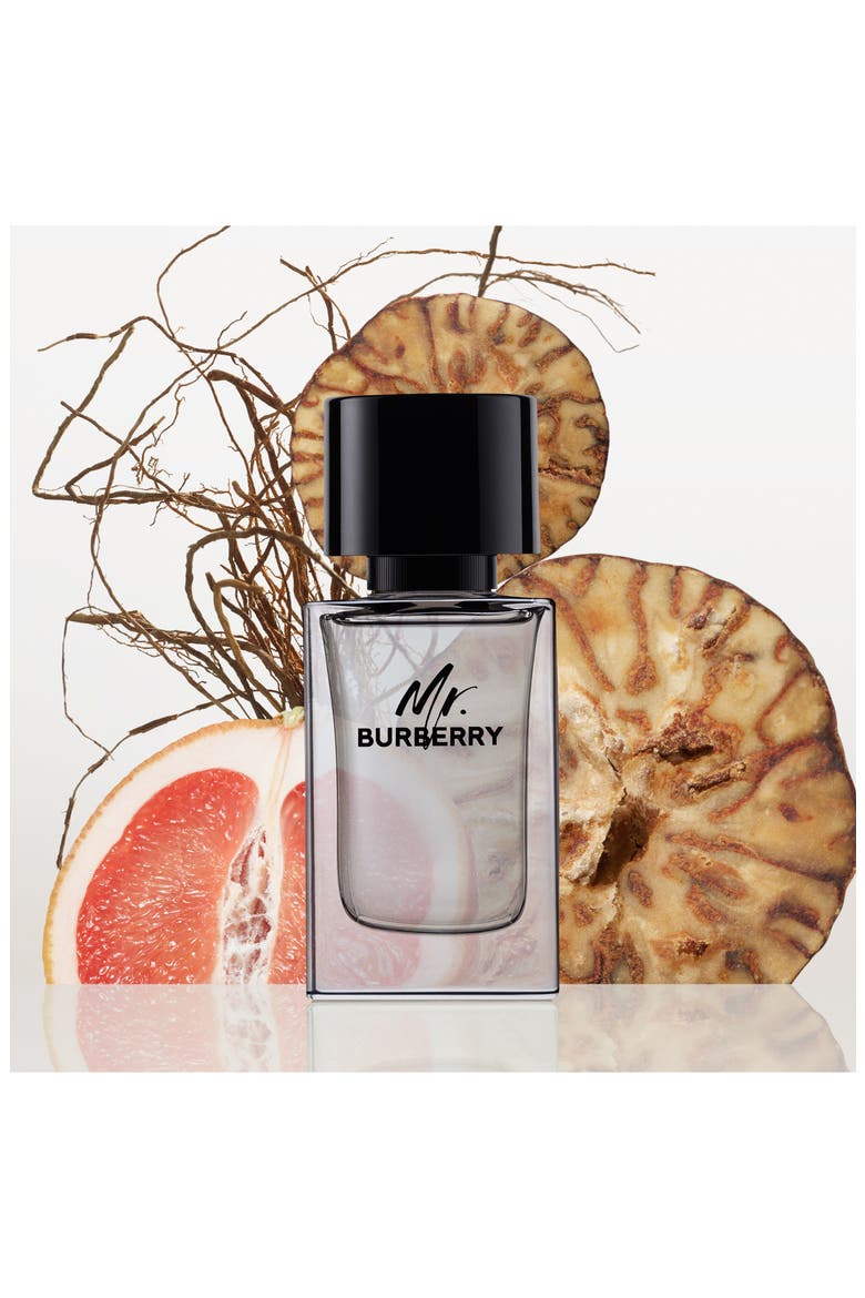 Mr. Burberry Eau de Toilette, Alternate, color, NO COLOR