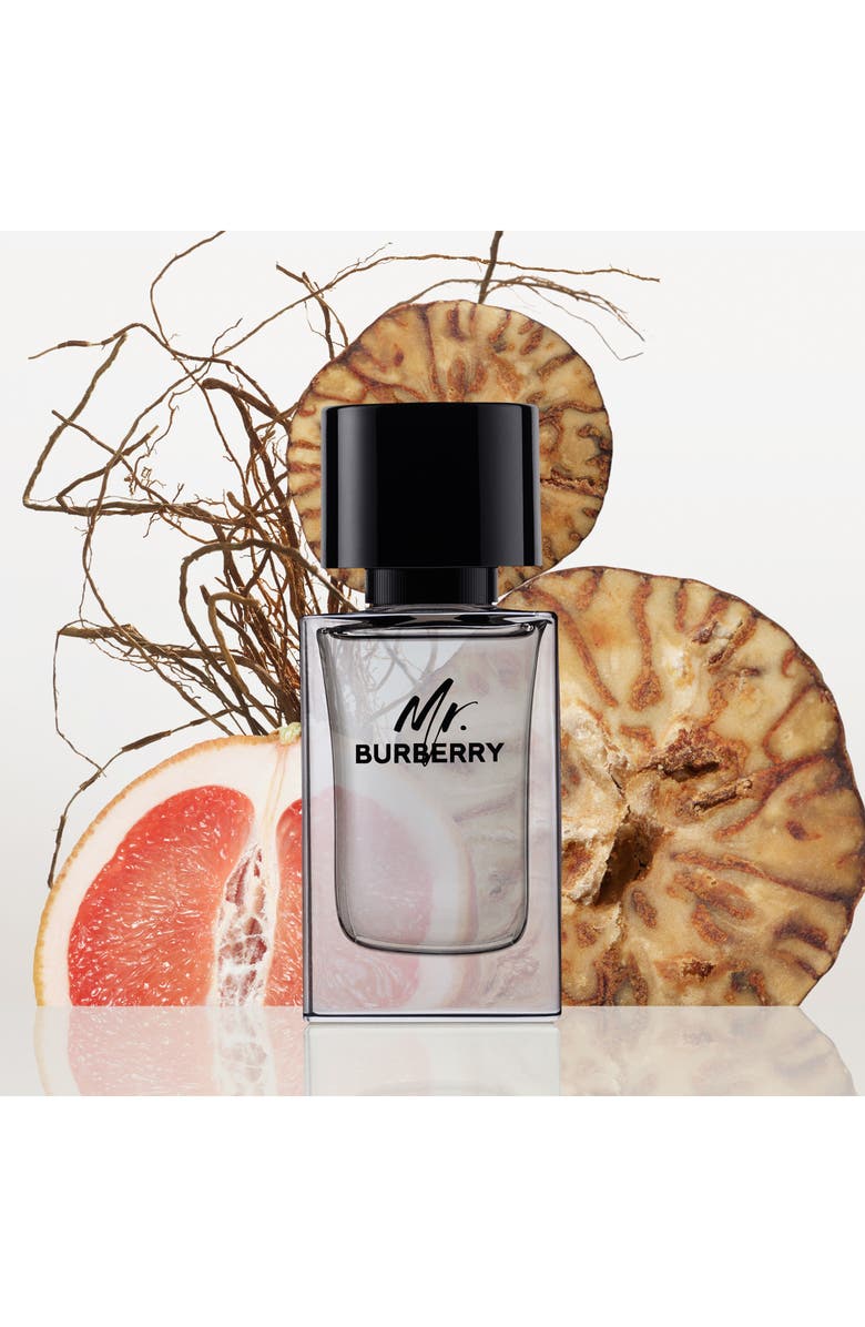Burberry Mr. Burberry Eau de Toilette, Alternate, color, 