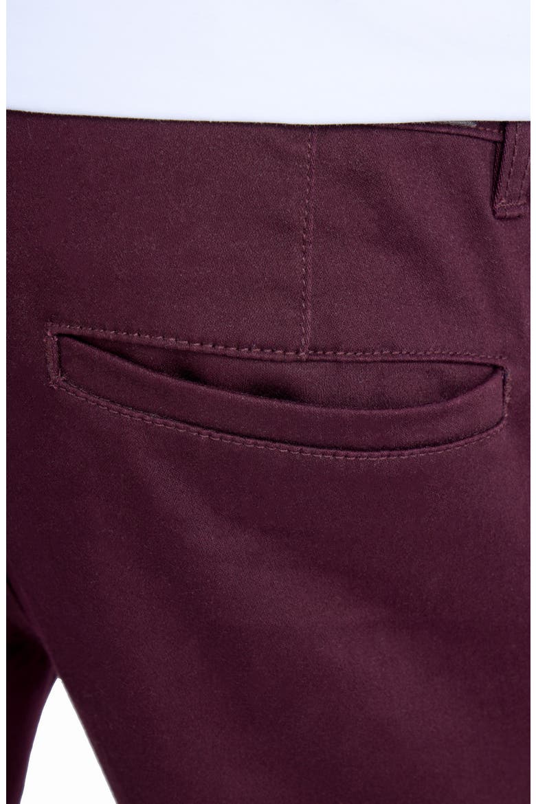 Commuter Chino Pants, Alternate, color, FIG