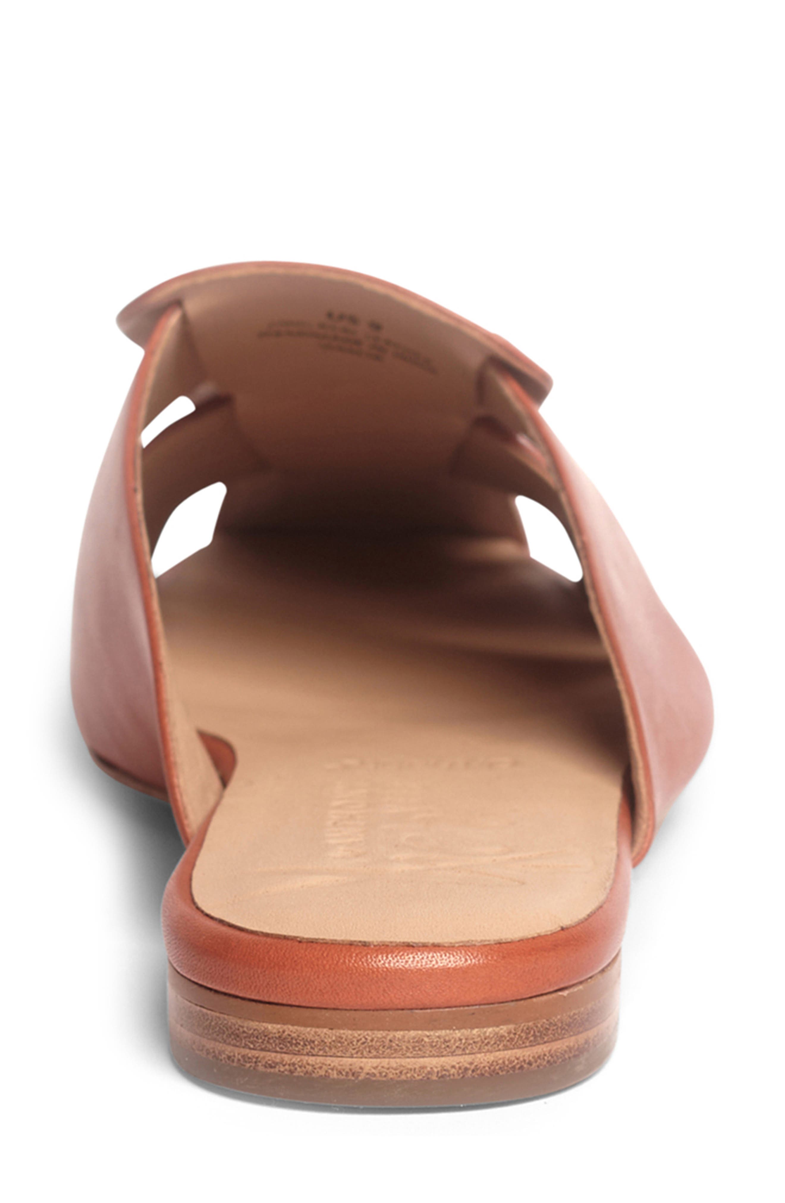 Mia Mule, Alternate, color, EXUBERANCE