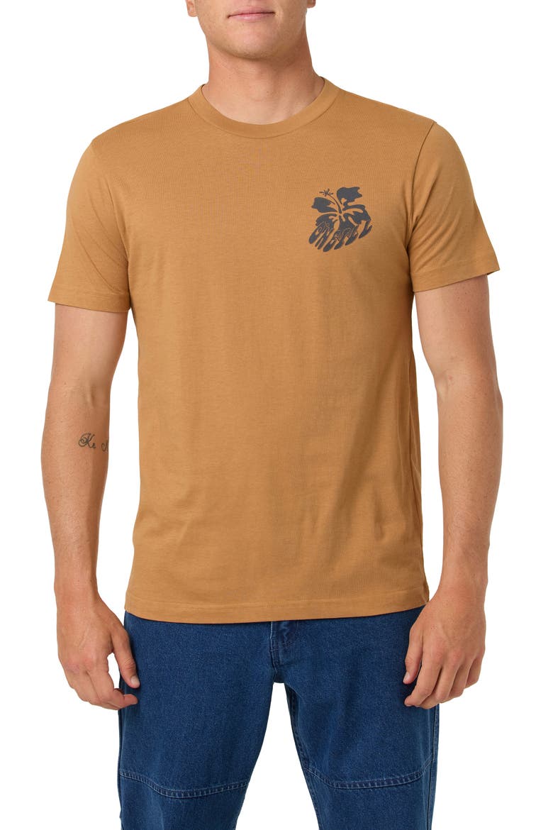 Hibis Classic Cotton Graphic T-Shirt, Main, color, WOODSHACK