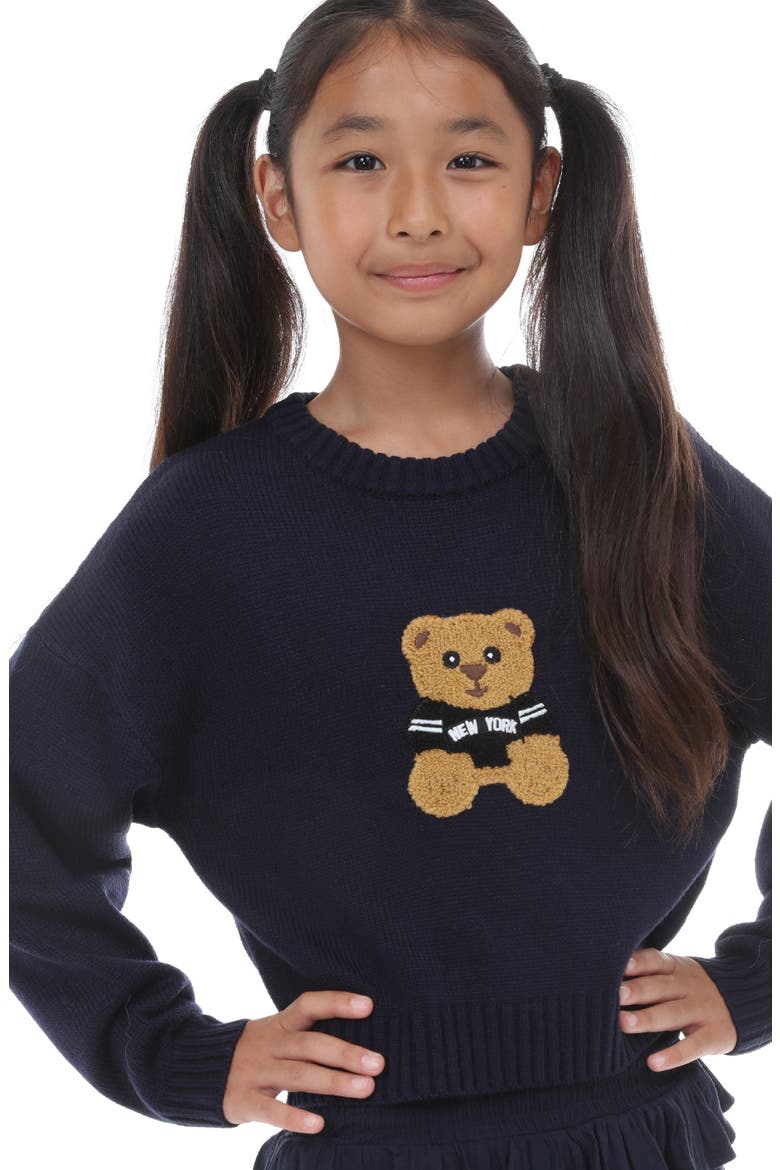 Kids' Bear Pullover Sweater, Alternate, color, NAVY