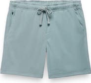 prAna Deja View Shorts