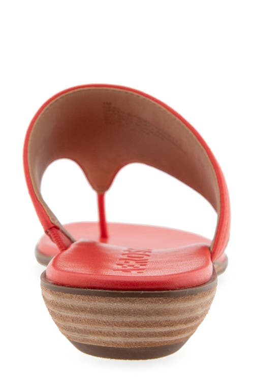 AEROSOLES AEROSOLES GESA THONG SANDAL 
