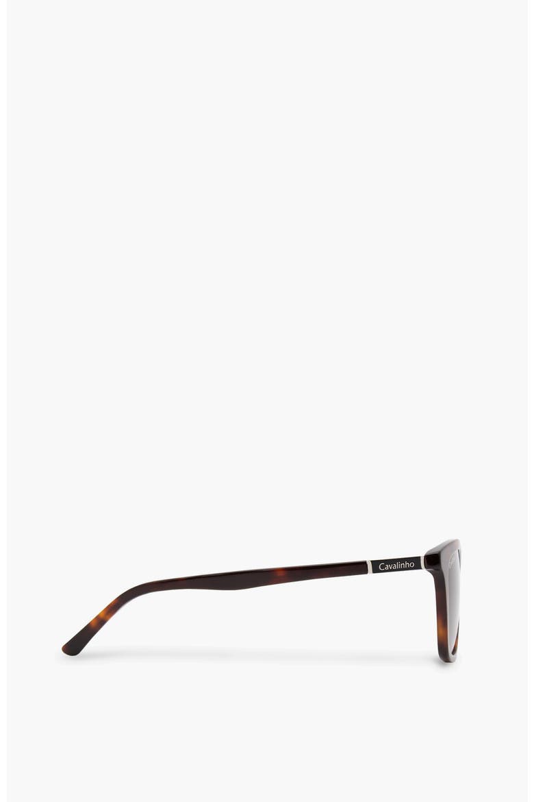 Sunglasses Old Town, Alternate, color, Brown