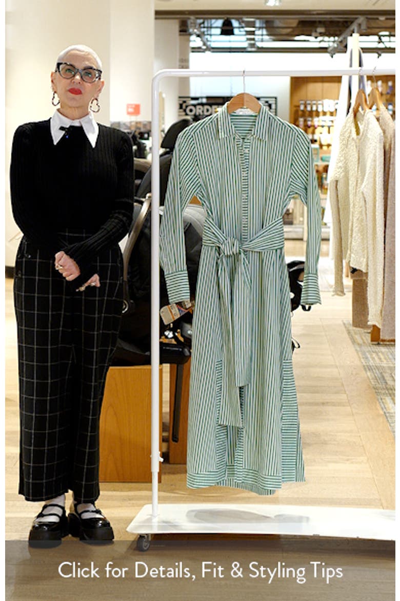 Sybil Stripe Long Sleeve Cotton Shirtdress video