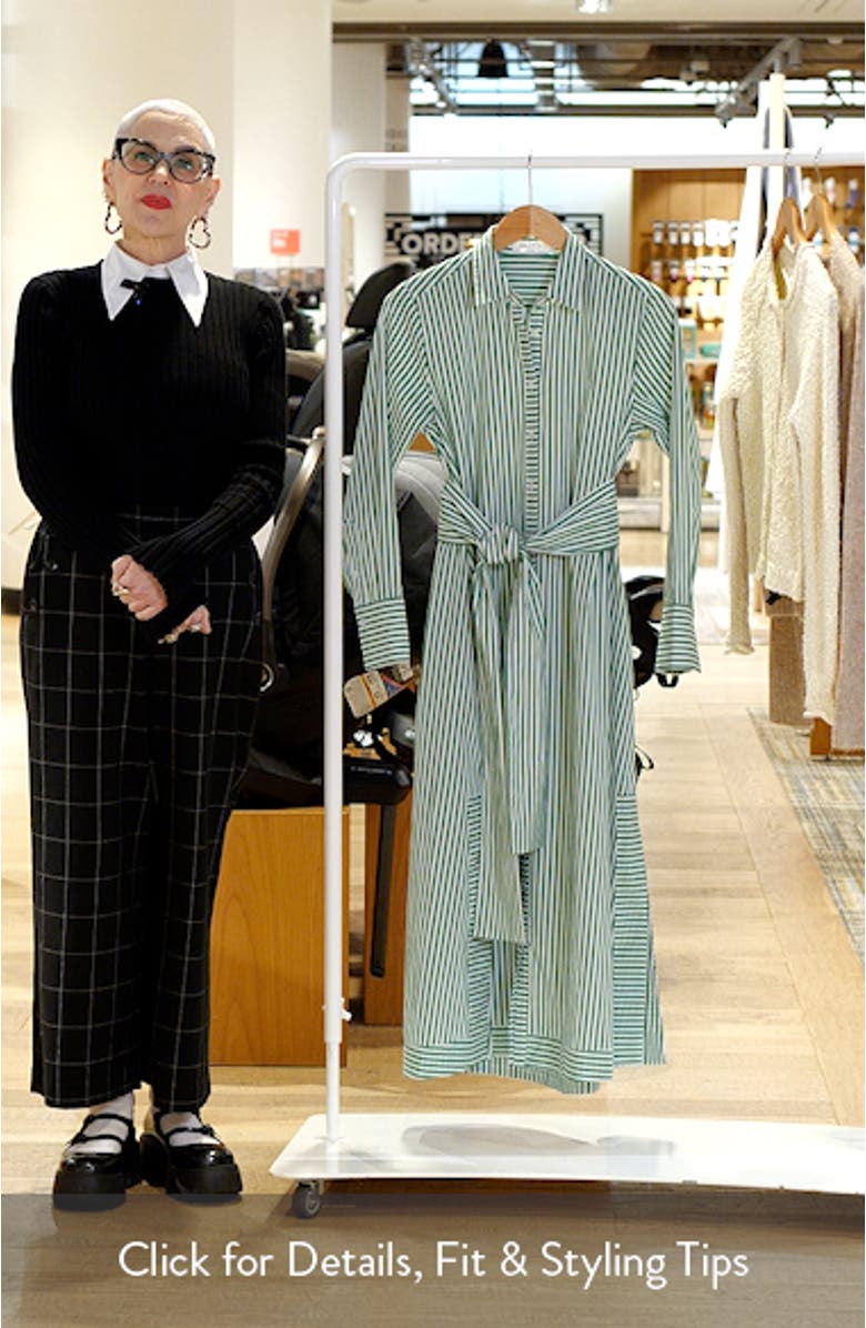 Sybil Stripe Long Sleeve Cotton Shirtdress, sales video thumbnail