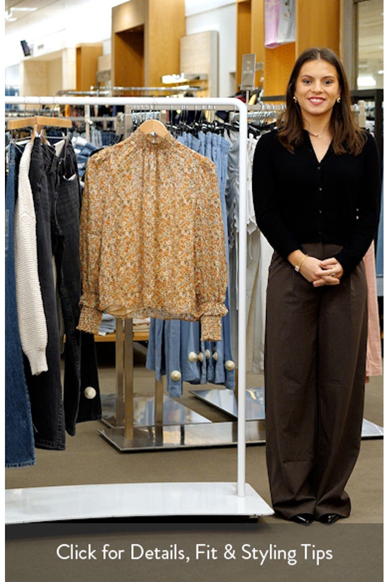 Floral Stripe Long Sleeve Chiffon Blouse video