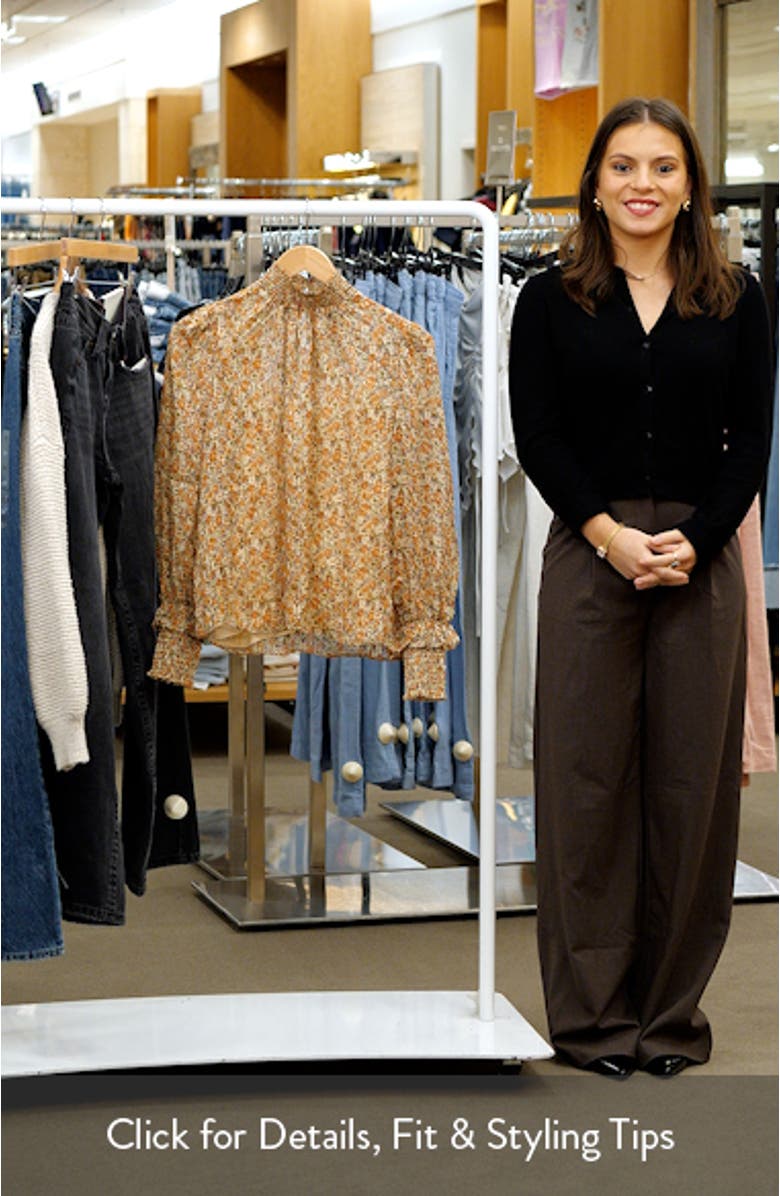 Floral Stripe Long Sleeve Chiffon Blouse, sales video thumbnail