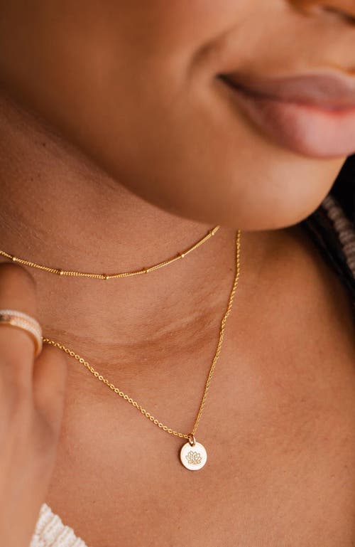 Made By Mary July Birth Flower Necklace In Silver